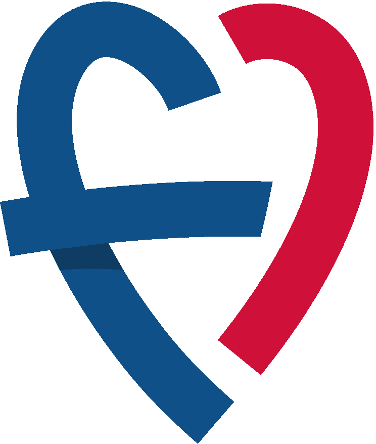 frenchhealthcare.fr-logo