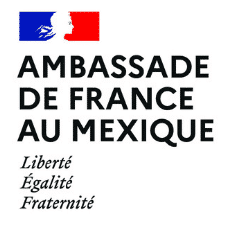 Logo ambassade de france au mexique