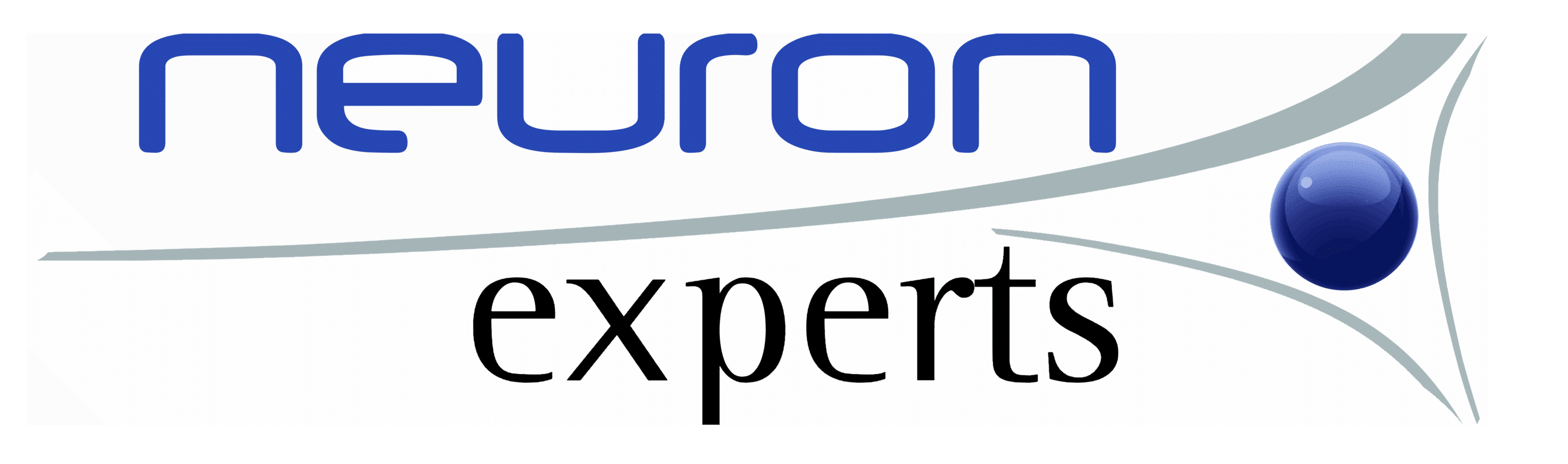Logo Neuron Expert