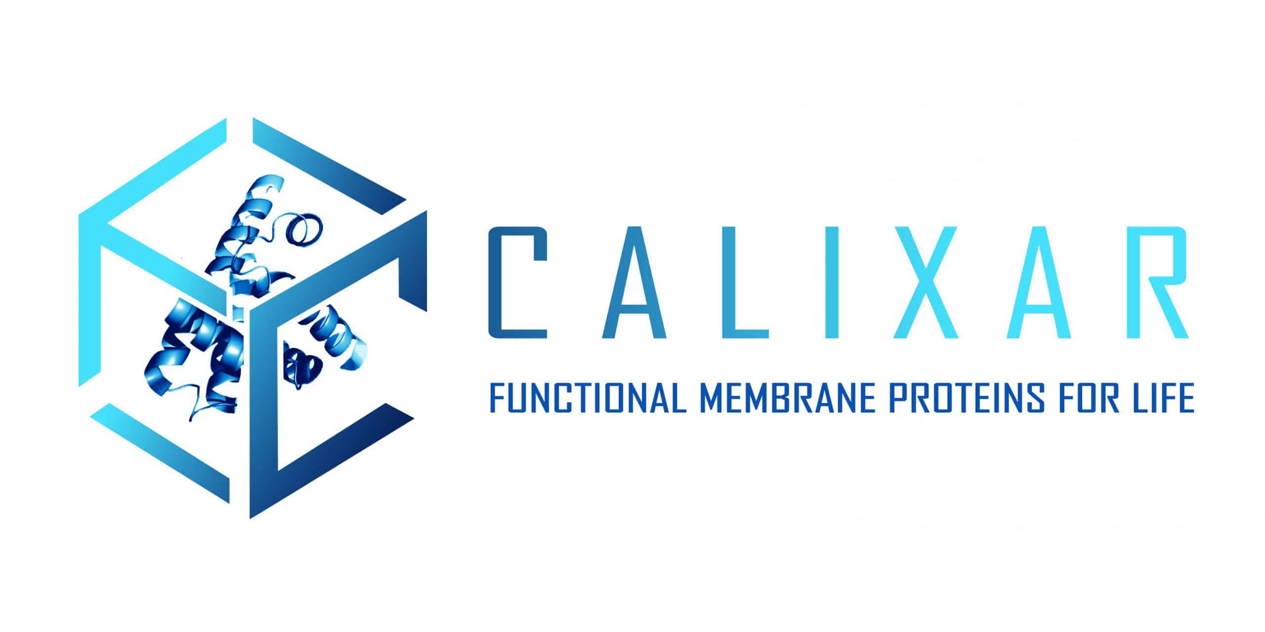 Calixar Logo