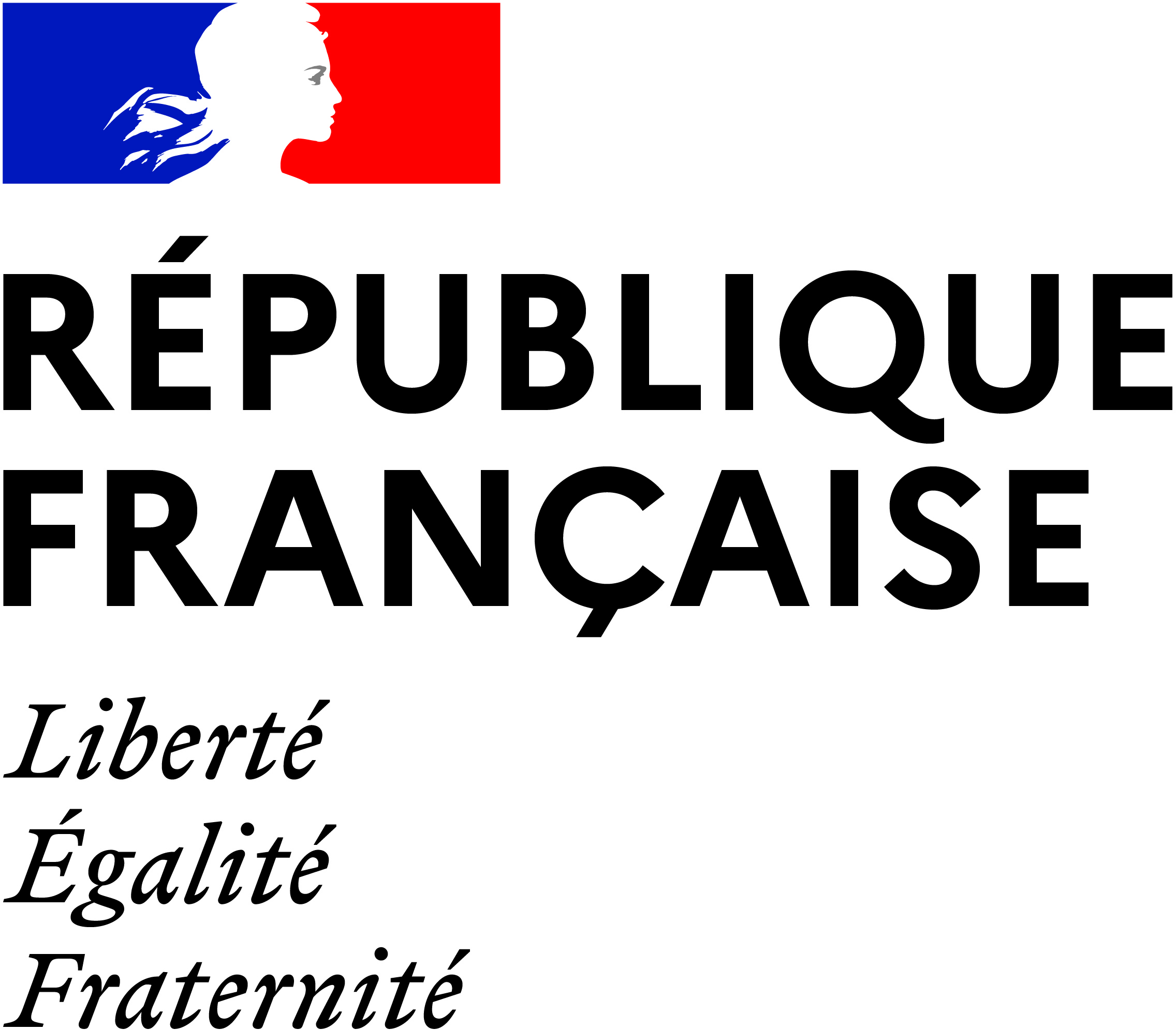 Logo du pied de page
